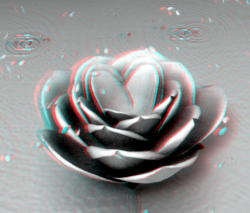Play 3D video